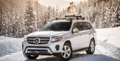 MSP teams up with Loki the Wolfdog and Mercedes-Benz